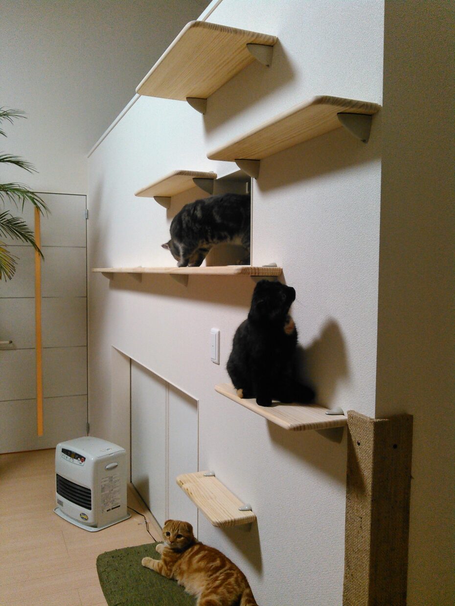 猫と暮らす家-キャットウォーク|浜松市中区 | 浜松市の小さな家・大人目線の家づくり | TEMAME